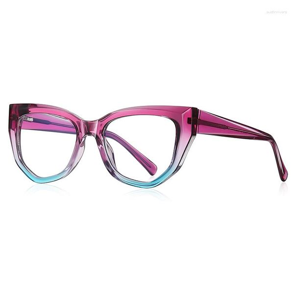 Montature per occhiali da sole 52mm Poligono Cat Eye Occhiali da donna Montatura Moda Trasparente Anti-Blu-Ray Lenti Occhiali da uomo Ottica Doppio colore 2156