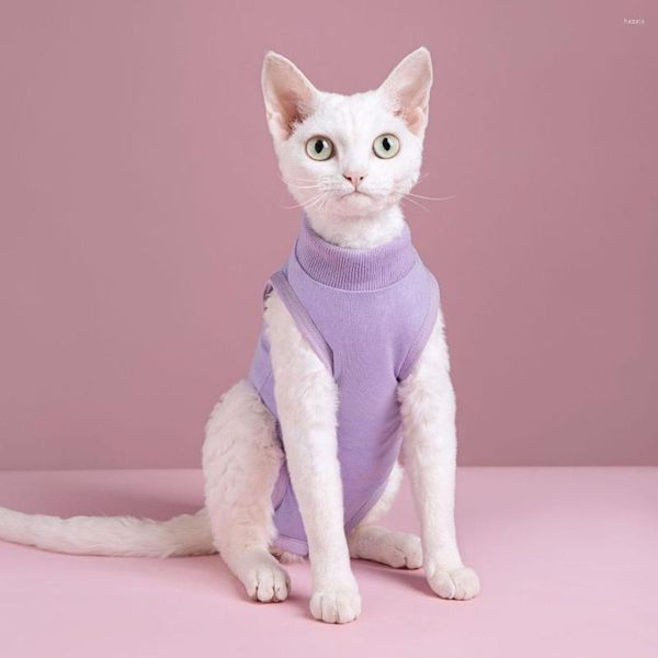 Trajes de gato Roupas para Sphynx Esterilização Pós-operatória Anti Lambendo Bactérias Respiráveis Gatinho Cachorro Fisiológico