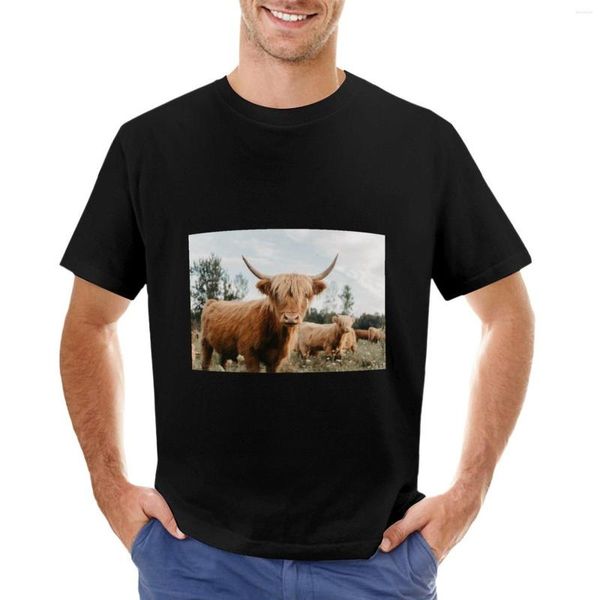 Canotte da uomo T-shirt Curious Highland Cow T-shirt estiva semplice Magliette personalizzate Progetta i tuoi vestiti da uomo