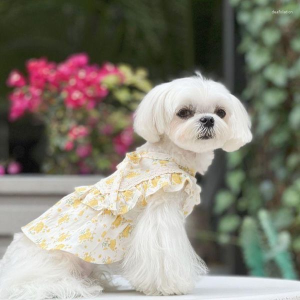 Cão vestuário verão roupas gato filhote de cachorro pet vestido chihuahua yorkie maltês shih tzu pomeranian bichon poodle roupas vestidos trajes