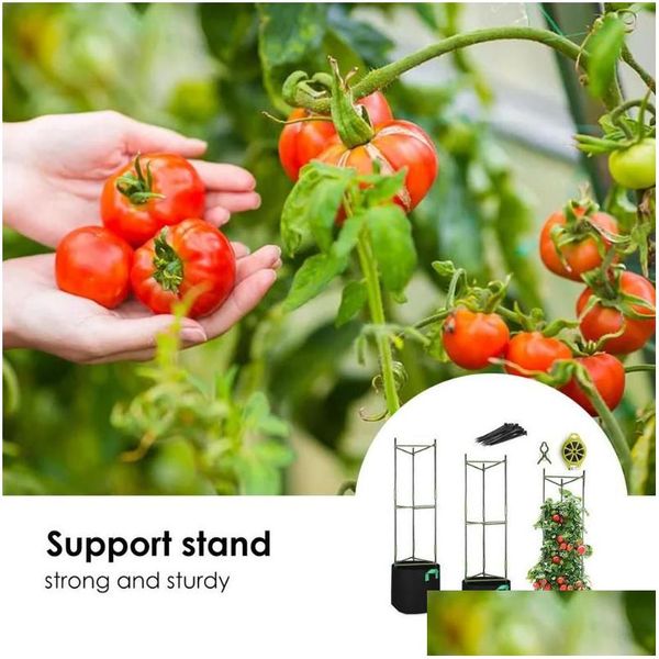 Outros suprimentos de jardim Vegetal Tomate Suporte Rack Vine Escalada Titular Vertical Plantas Gaiola Trellis Flor Planta Pilar Drop D Dhk1C