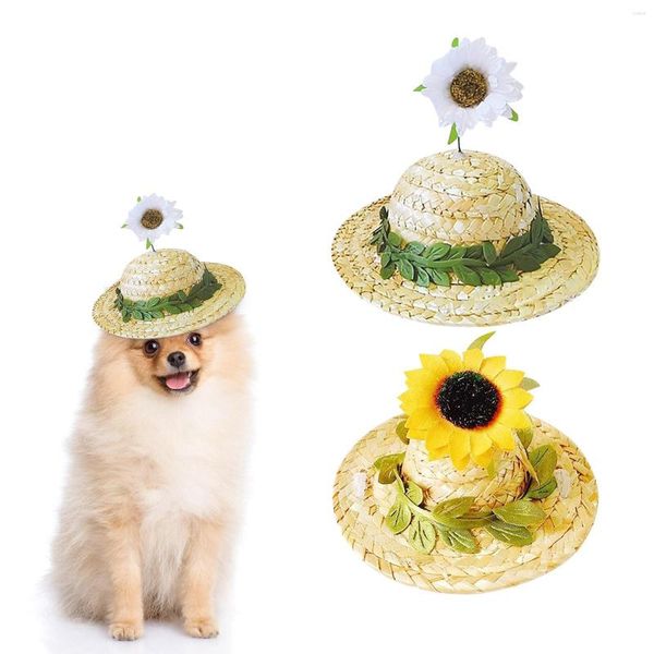 Abbigliamento per cani Collare leggero Test Cappello di paglia per animali domestici Cappellino da sole primaverile estivo con cordino regolabile per cappelli per gatti per collari per cuccioli