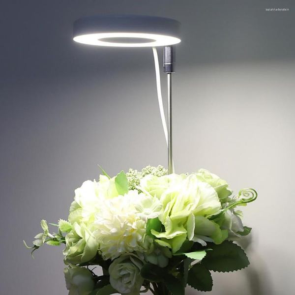 Coltiva le luci Decorazione domestica Pianta Luce Efficiente Spettro completo LED per piante bonsai da fiore Ampia gamma di illuminazione