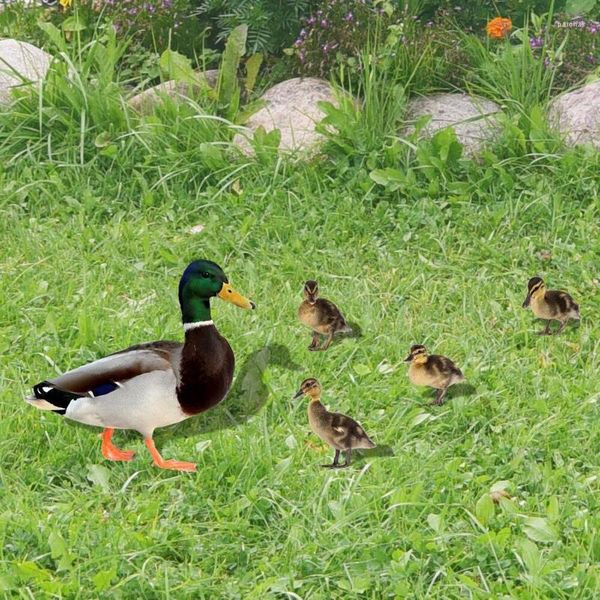 Decoraciones de jardín Patos al aire libre Silueta Letreros de patio con estacas Familia de miedo Decoración de fiesta frontal