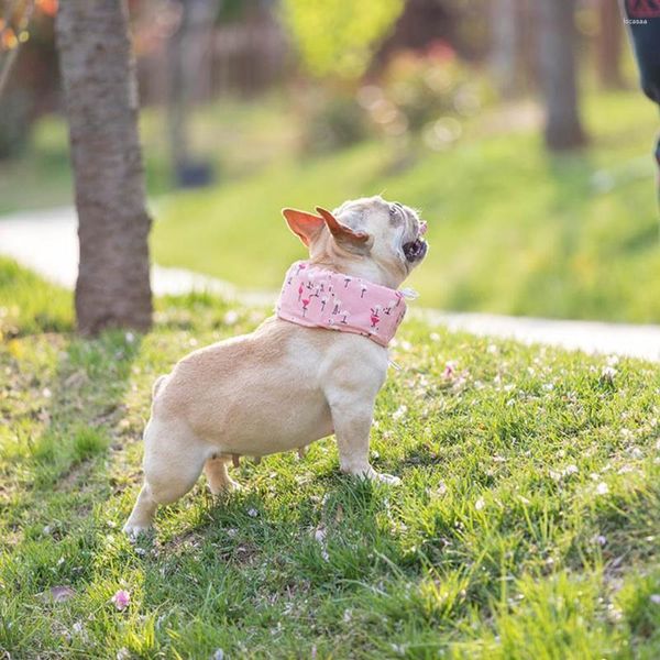 Abbigliamento per cani Sciarpa rinfrescante estiva per animali domestici Design con coulisse regolabile Previene il colpo di calore Collare di ghiaccio con stampa di cartoni animati di moda