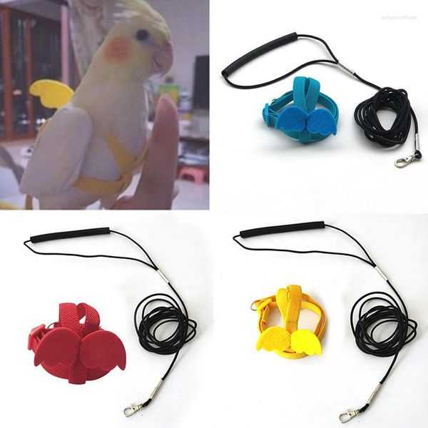 Outros suprimentos de pássaros Parrot Harness Leash Set Ajustável 2m Corda Treinamento Anti-mordida para Papagaios Ao Ar Livre Flying Cockatiel Birds