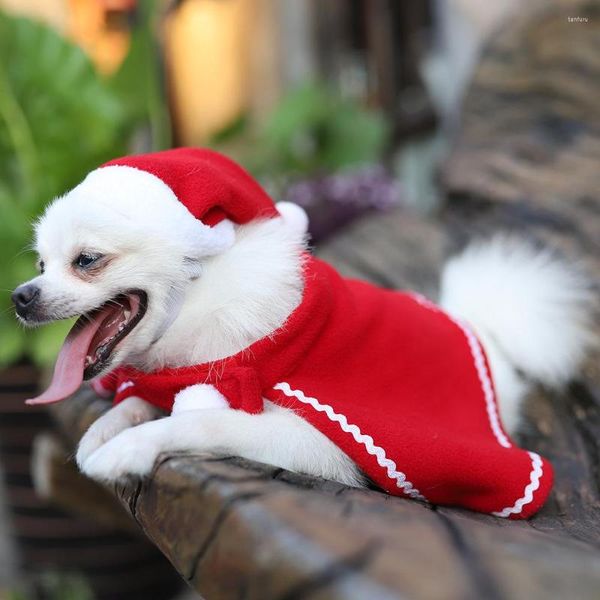 Kedi kostümleri köpek kıyafetleri küçük oyuncak pelerin şapkası kırmızı giyinmiş evcil hayvan takım elbise Noel