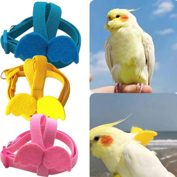 Altre forniture per uccelli Imbracatura colorata Gilet per pappagalli leggero e adorabile Corda per trasportare parrocchetti