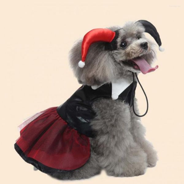 Vestuário de cachorro 1 conjunto vestido de Halloween bonito mágico de estimação com prendedor de arnês fita encerramento cosplay traje