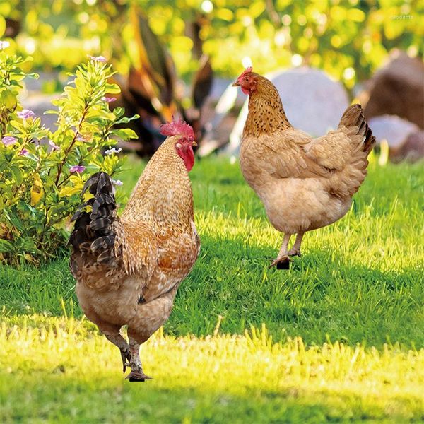 Decorazioni da giardino Statue di gallo in acrilico Sculture Figurine di gallina di pollo Cortile della fattoria Ornamenti da giardino Decorazione artistica