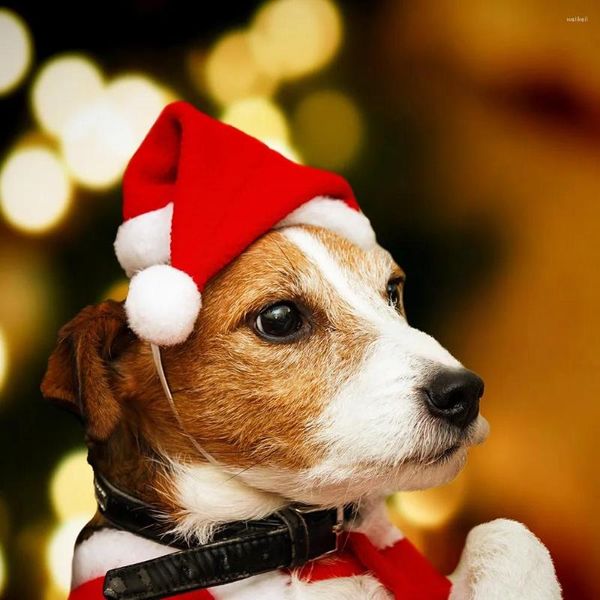 Hundebekleidung, Weihnachtsdekoration, Haustiermütze, kleine rote Plüschkleidung