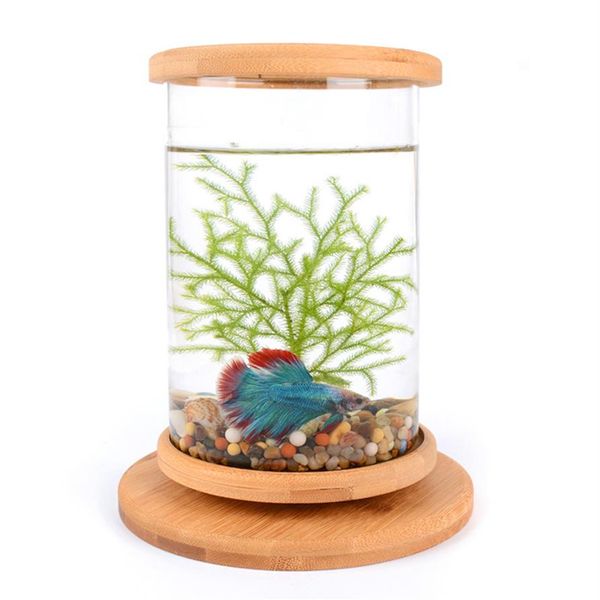 1 pçs vidro betta tanque de peixes base de bambu mini tanque de peixes decoração acessórios girar decoração aquário acessórios y200228g