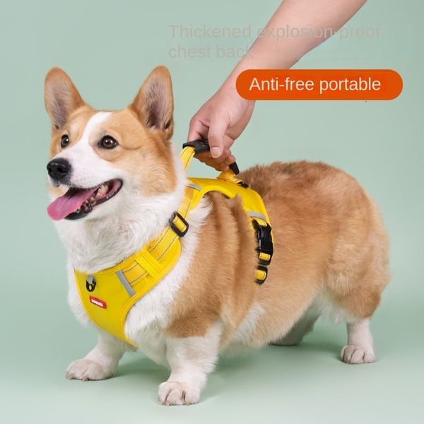 Coleiras de cachorro Trelas Pet Leash Corgi Chest Harness Collar Pequeno Colete Tipo Cadeia Andando Médio 230915