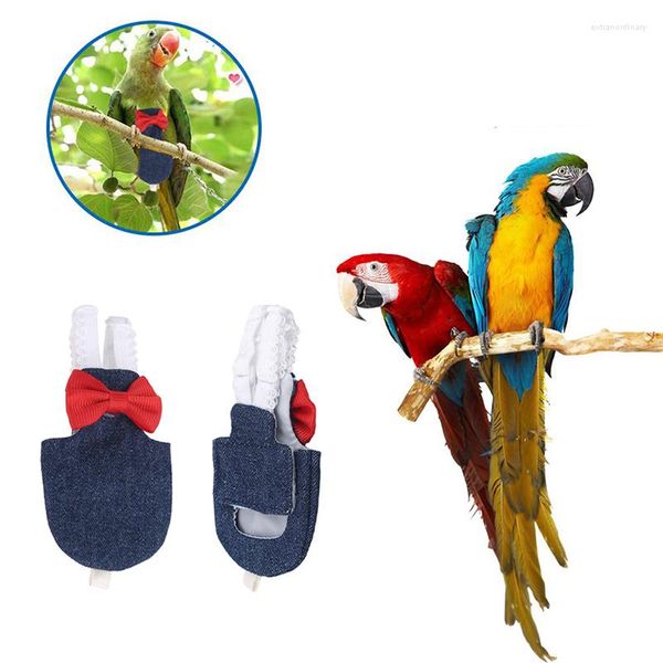 Outros suprimentos de pássaros Parrot Fralda Flight Terno Fralda Roupas para Cheek Verde Conure Periquito Cockatiels Pombos Pet Birds Fezes Bolso