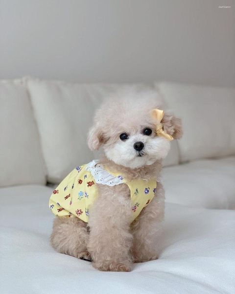 Vestuário para cães Bonito Urso Padrão Saia Halter Lace Curto Pet Roupas Pequeno Verão para Filhote de Cachorro Chihuahua Schnauzer