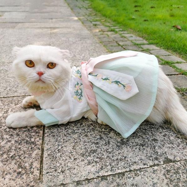 Kedi kostümleri güzel vintage nakış ile şeridi yaz köpeği prenses elbise antik giysiler köpek ince etek evcil hayvan hanfu