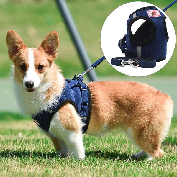 Collari per cani Guinzagli Nuovi regolabili per piccole pettorine Collare per gatti per animali domestici Personalizzato Chihuahua Frence Bulldog Accessori per cuccioli all'aperto all'ingrosso 230915