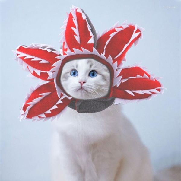 Trajes de gato Pet Hat Demogorgon Cosplay Props Acessórios Headwear Soft Kitten Cap Halloween / Presente de Natal