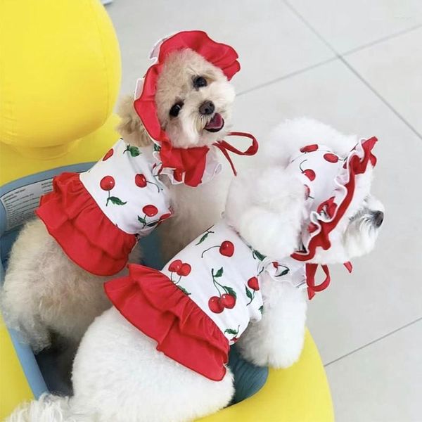 Cão vestuário verão filhote de cachorro cereja vestido teddy linda saia pet frutas roupas do que urso suspensórios macios com chapéu xs-xl