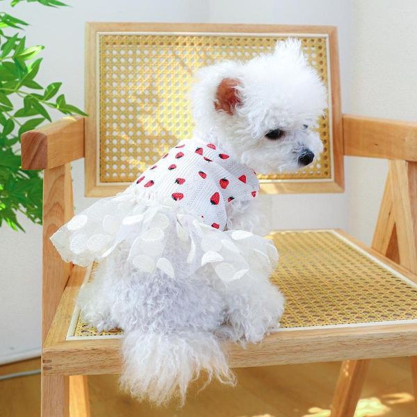Cão vestuário padrão de morango vestido branco roupas para animais de estimação verão princesa meninas baile sem mangas cachorrinho gato hoodies saia
