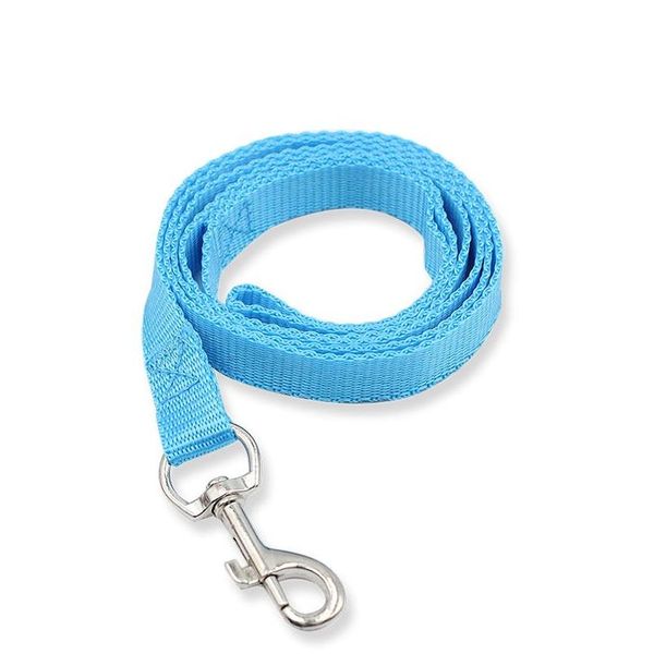 Collari per cani Guinzagli Semplice color caramella Guinzaglio Gancio Nylon Camminata Addestramento Cani da compagnia Forniture Consegna di goccia Giardino domestico Dh97W