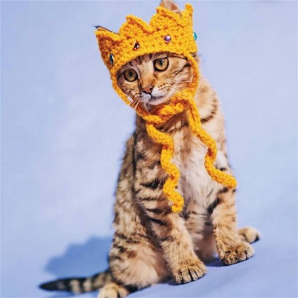 Abbigliamento per cani Divertenti vestiti trasformati Mantello da re Costume di Halloween per animali domestici Cappello a corona 230915