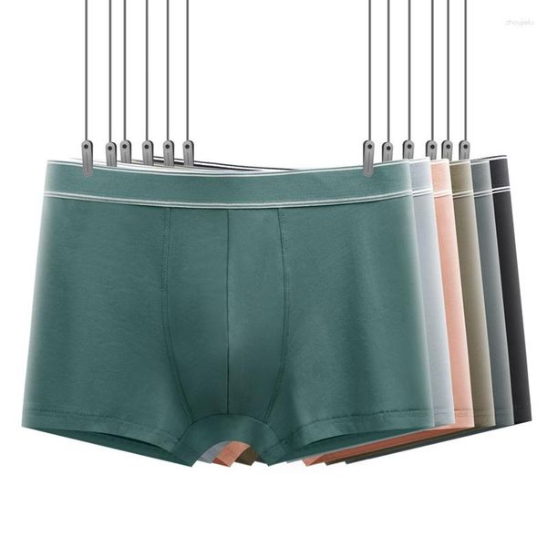 Mutande 4 pezzi mutandine da uomo pantaloncini di cotone boxer intimo uomo traspirante U convesso boxer maschile pantaloni slip solidi all'ingrosso