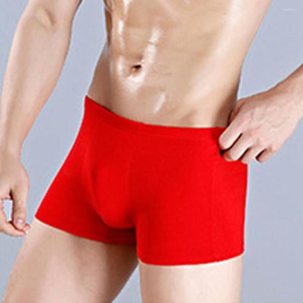 Cuecas masculinas modal convexa bolsa boxer shorts respirável sob troncos menino sissy boxershorts calzoncillos hombre