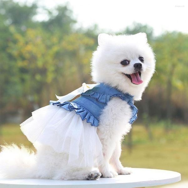 Hundebekleidung Tragbares Kleid Schützen Sie die Haut des Welpen Wiederverwendbarer Netzrand Sommer Kleines Prinzessinnen-Cosplay-Kostüm