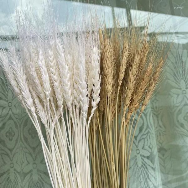 Fiori decorativi 50 pezzi spiga di grano reale essiccati naturali decorazione di nozze Boho casa piccola per forniture natalizie artigianali