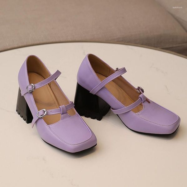 Elbise ayakkabıları artı klasik retro retro kare başlı kalın topuklar Mary Jane çift göğüslü toka içi boş 2023 kadın pompaları