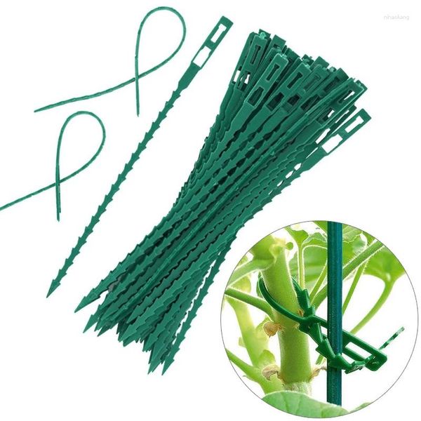 Forniture da giardino 50/100 pezzi di clip di supporto per impianti di plastica riutilizzabili clip sospesa in vite può essere riutilizzato per cavi cravatte