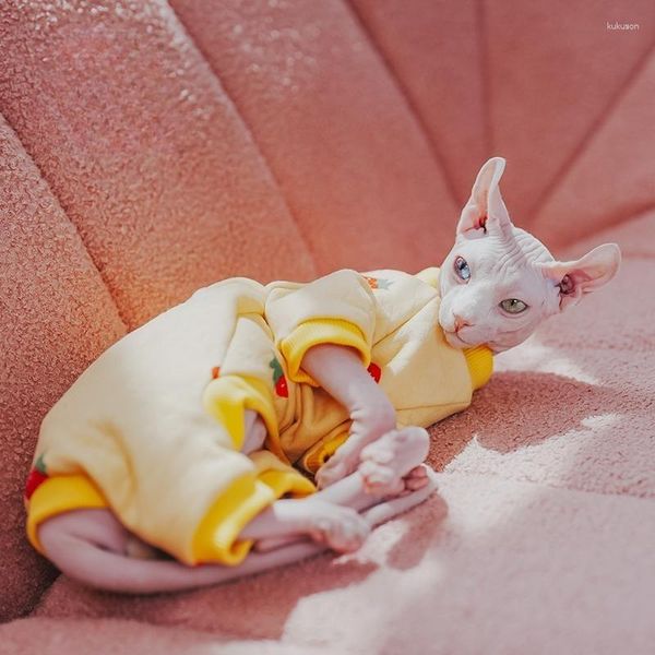 Trajes de gato Roupas Sphynx Casaco de Algodão Mangas Compridas Macio Grosso Undershirt para Gatinhos Cães Devon Rex Bonito Macacão de Quatro Pernas no Inverno