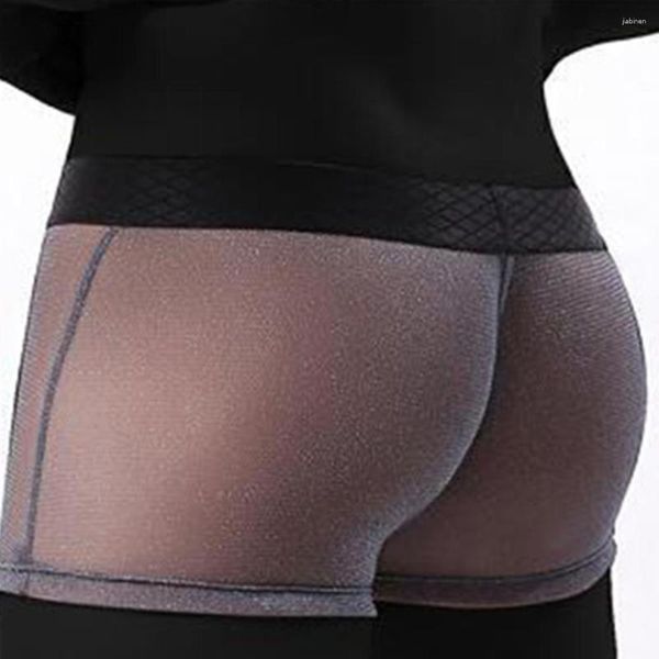 Cuecas masculinas ver através de boxer briefs malha shorts sexy roupa interior bulge bolsa brilhante calcinha sensual lingerie