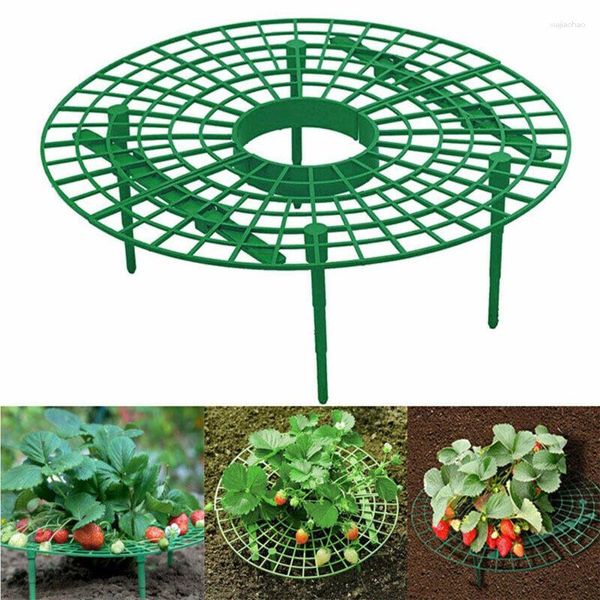 Forniture da giardino Supporto rotondo per fragole Supporto per piante in plastica per fiori rampicanti Supporto per telaio per piante da balcone Scaffale per frutta