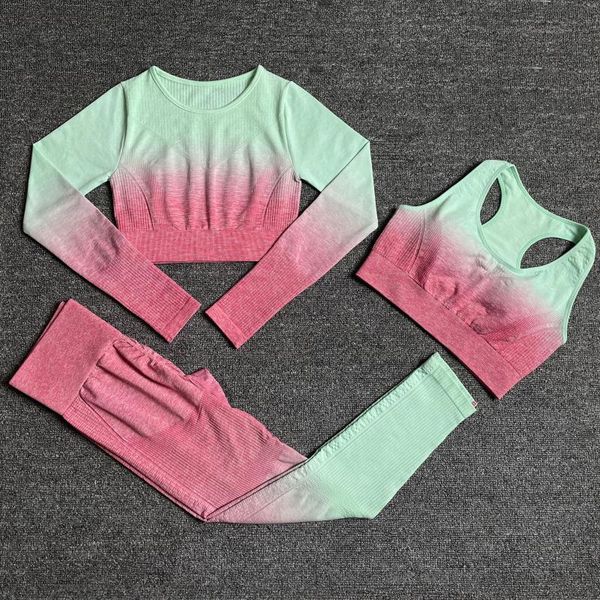 Conjuntos ativos 2pc ombre feminino yoga conjunto sem costura leggings manga longa colheita superior sutiã esportivo calças de corrida ginásio roupas fitness treino