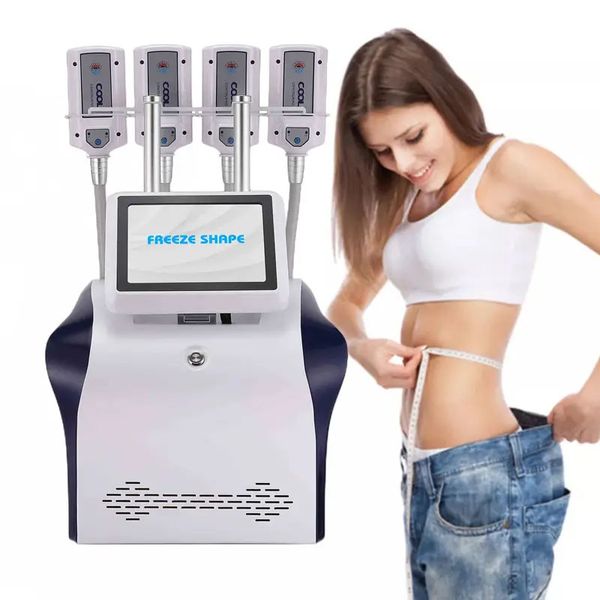 Contornamento del corpo portatile paddle fresche cryoskin ems rf cryoslocging goldfoling dispositivo di raffreddamento per perdere peso macchina pro criolipo