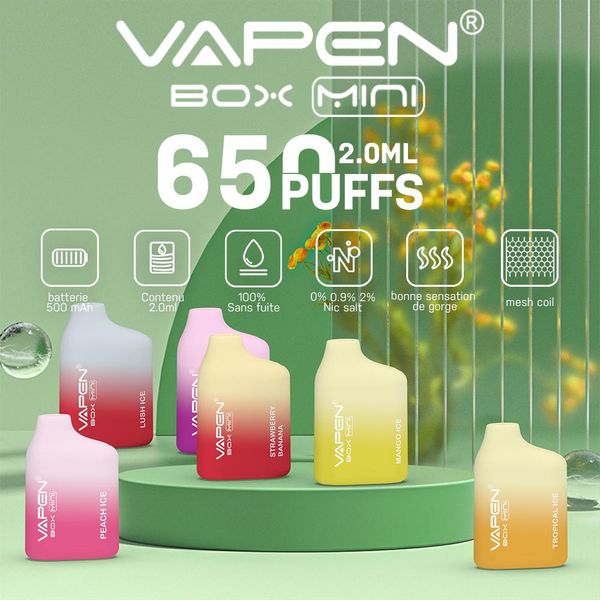 En yeni vapen kutusu mini tek kullanımlık vape cihaz kalem 650puffs Önceden doldurulmuş 2ml kapslar fiş podar taşınabilir patlama küçük kutu bc650 buhar e sigara buharlaştırıcılar