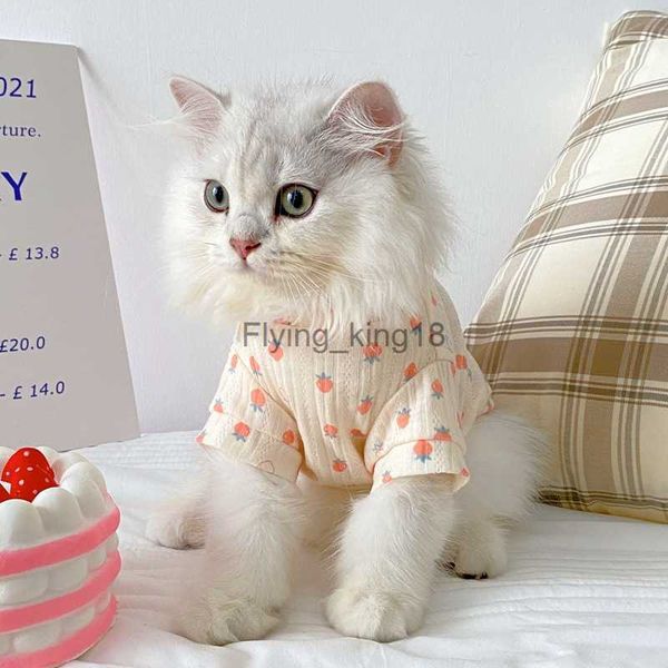 Trajes de gato roupas de gato anti queda lã pano boneca inglês curto animal de estimação verão azul gato gatinho ar condicionado colete gato fino verão hkd230921