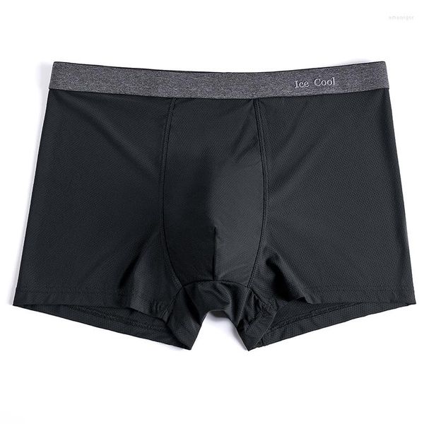 Cuecas 5pcs Ice Silk Men Underwear Boxer Homme Mens para Shorts Homem Malha Conforto