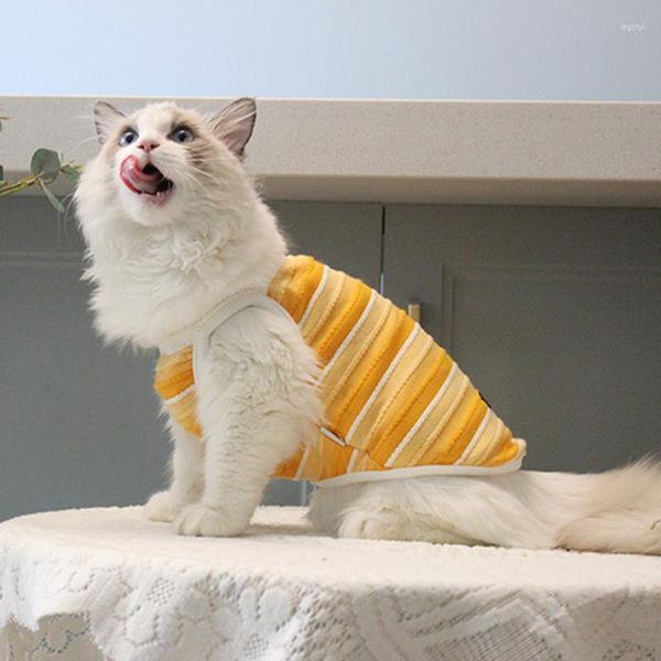 Katzenkostüme für Haustiere, Frühling/Sommer, gestreift, englisches kurzes, schrittweises Layer-Pullover, Anti-Haare, schlank und frei zu entfernende Kätzchenkleidung