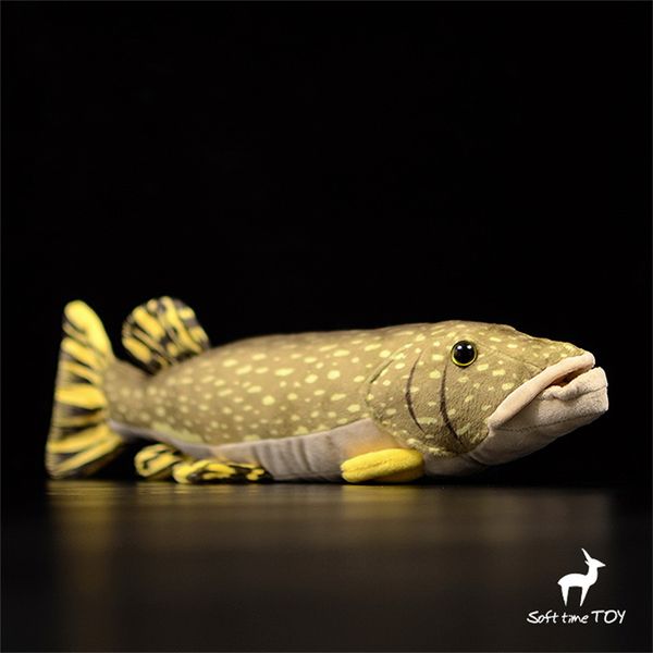 Bonecas de pelúcia Esox Lucius Anime Cute Plushie Northern Pike Pelúcia Brinquedos Lifelike Animais Simulação Boneca Recheada Kawai Toy Presentes 230921