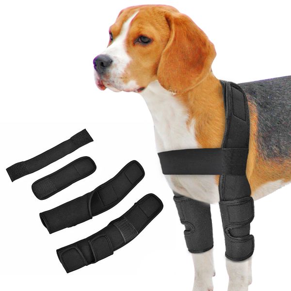 Vestuário para cães Joelho Brace Lesões Perna Joint Wrap Feridas Cura Artrite Frontal Canina Previne Cães Suprimentos 230921