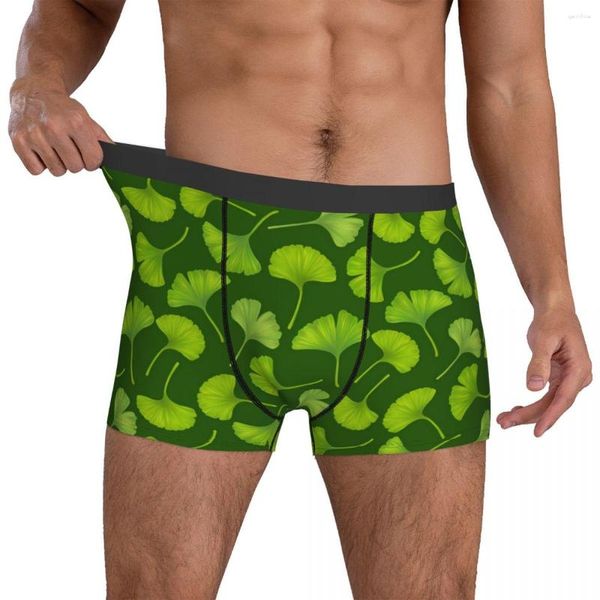 Mutande Carino Ginko Biloba Biancheria intima Foglie Stampa Modello classico Boxer Brief per uomo Custodia 3D Boxer taglie forti