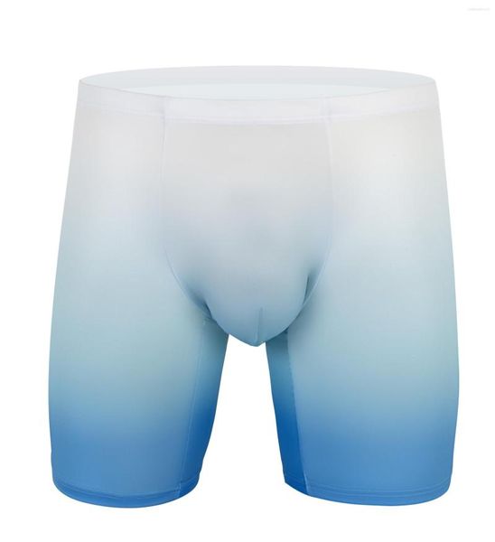 Underpants Mens Underwear Boxers Shorts Homme Slip Slim Ice Silk Bolsa Panites Homem Intimte Meio Longo Perna Underpant Masculino Cueca Calzoncillo