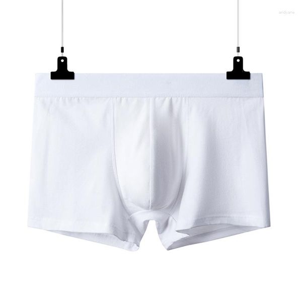 Mutande 2 pz Puro Cotone Uomo Boxer Intimo Comodo Mutande Traspiranti Tuta Uomo Colore Bianco L XL XXL XXXL 4XL