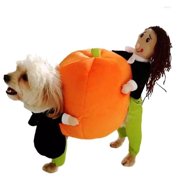 Costumi per gatti Netizen Stesso cane Personalità Divertente cartone animato 3D Addensato Protezione dal freddo e calore Sollevamento Zucca Vestiti carini