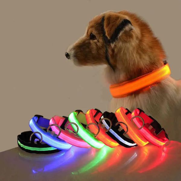 Coleiras recarregáveis para cães com LED para animais de estimação, coleiras retráteis à prova de perda de luz e bateria