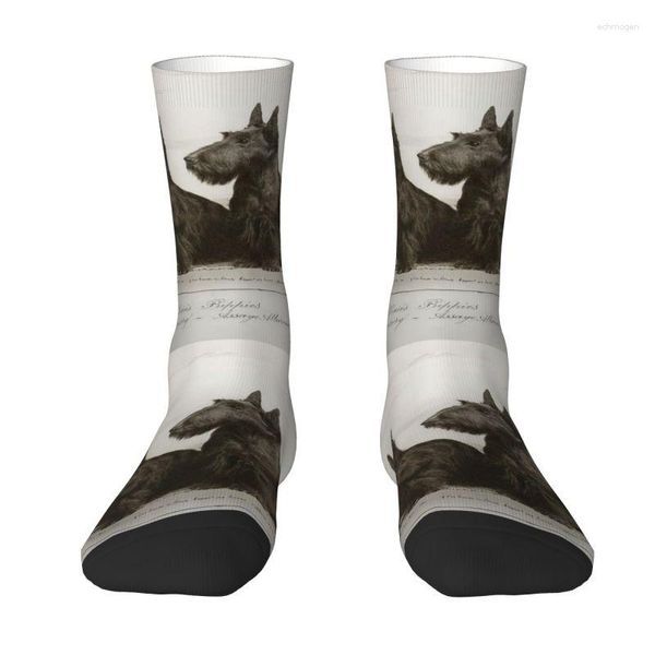 Herrensocken Vintage Scottish Terrier Dog Crew Unisex Kawaii Scottie Pet Lover Frühling Sommer Herbst Winter Kleid