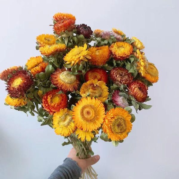 Dekorative Blumen, getrockneter Blumenstrauß, ewige Dekorationen, Wohnzimmer, Schlafzimmer, Dekoration, Gänseblümchen, goldene Kugel und Himmelssterne